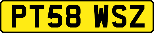 PT58WSZ