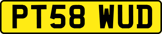 PT58WUD