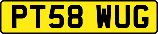 PT58WUG