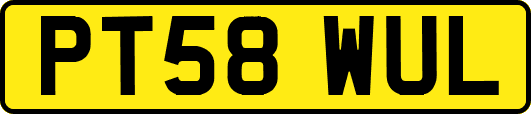PT58WUL