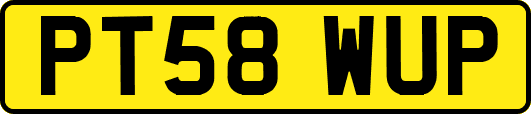 PT58WUP