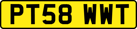 PT58WWT