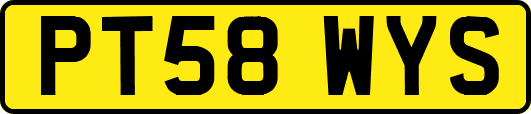 PT58WYS