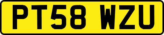 PT58WZU