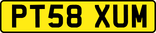 PT58XUM