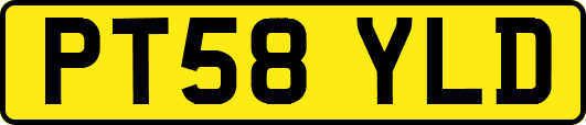 PT58YLD