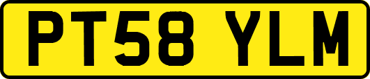 PT58YLM