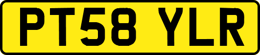 PT58YLR