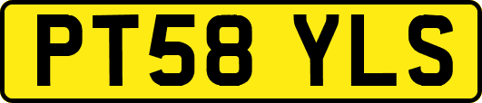 PT58YLS