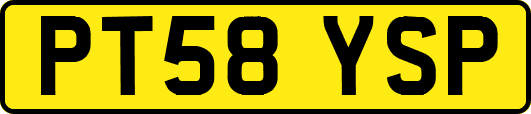 PT58YSP