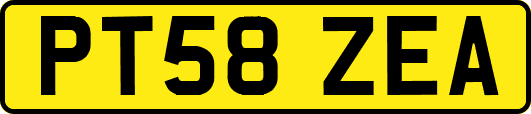 PT58ZEA