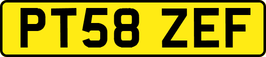 PT58ZEF
