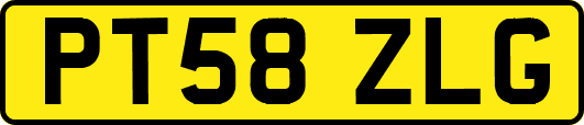 PT58ZLG