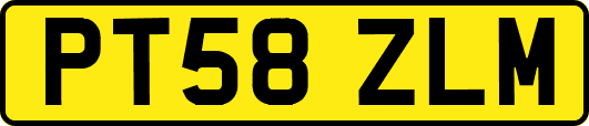 PT58ZLM