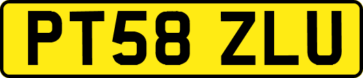 PT58ZLU