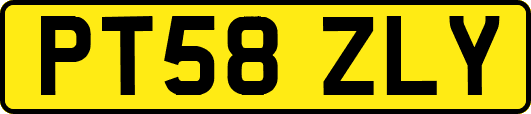 PT58ZLY