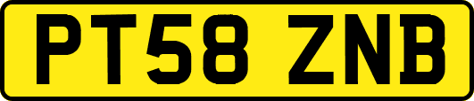 PT58ZNB