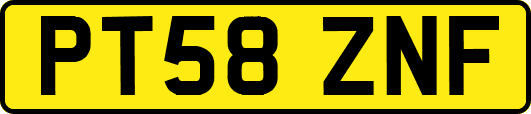 PT58ZNF