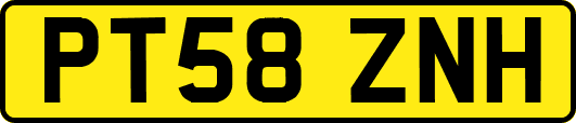 PT58ZNH