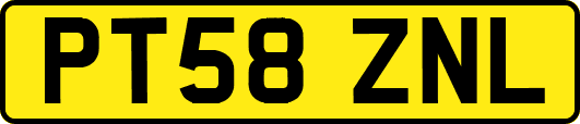 PT58ZNL