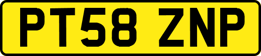 PT58ZNP