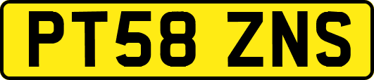 PT58ZNS