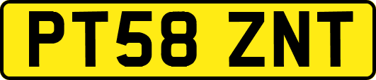 PT58ZNT