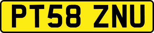 PT58ZNU