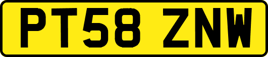 PT58ZNW