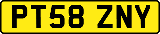 PT58ZNY
