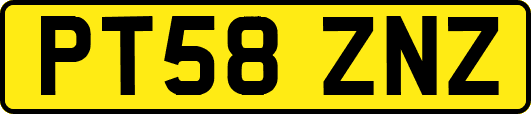 PT58ZNZ