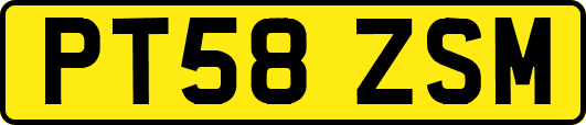 PT58ZSM