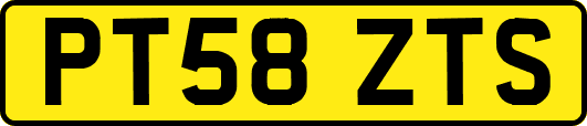 PT58ZTS