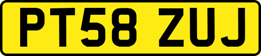 PT58ZUJ