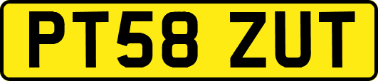 PT58ZUT