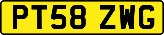 PT58ZWG