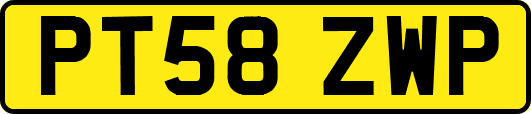 PT58ZWP