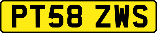 PT58ZWS