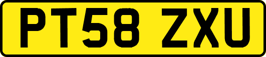PT58ZXU