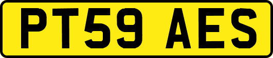 PT59AES