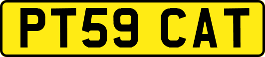PT59CAT