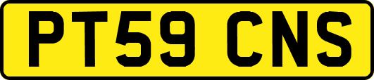 PT59CNS