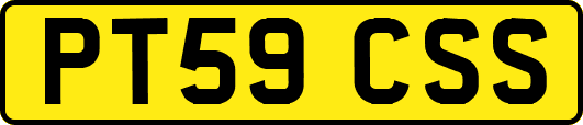PT59CSS