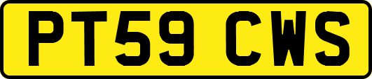 PT59CWS