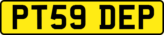 PT59DEP
