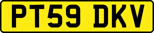 PT59DKV