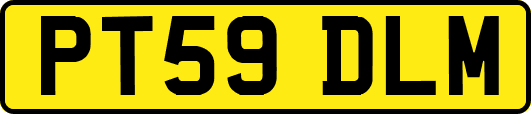 PT59DLM