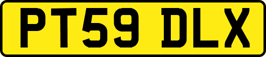 PT59DLX