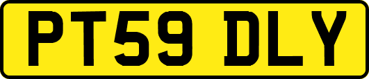 PT59DLY