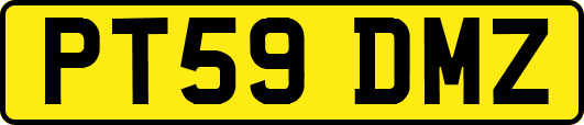 PT59DMZ